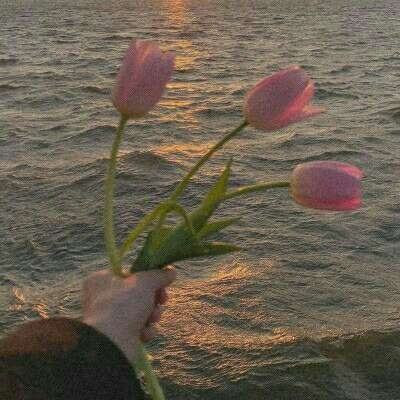 博鱼·(boyu)体育官方网站